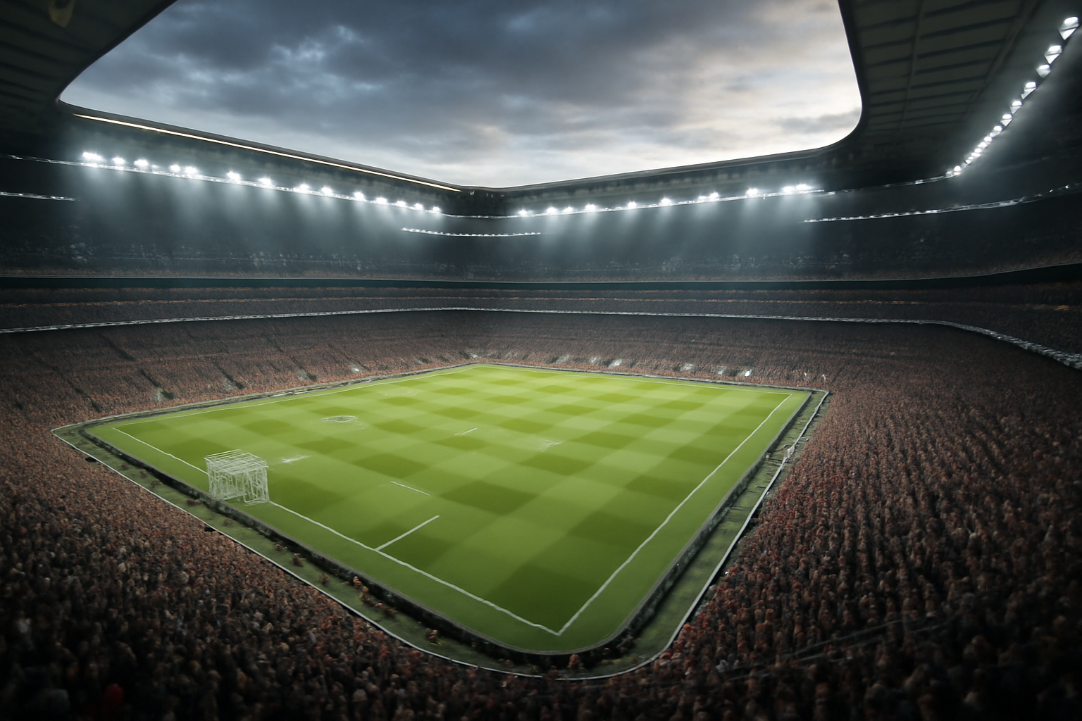 Football's Vibe: Fans and the Impact of Animated Stadium Atmosphere